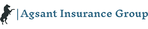 Agsant Insurance Group, Inc.