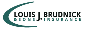 Louis J Brudnick & Sons