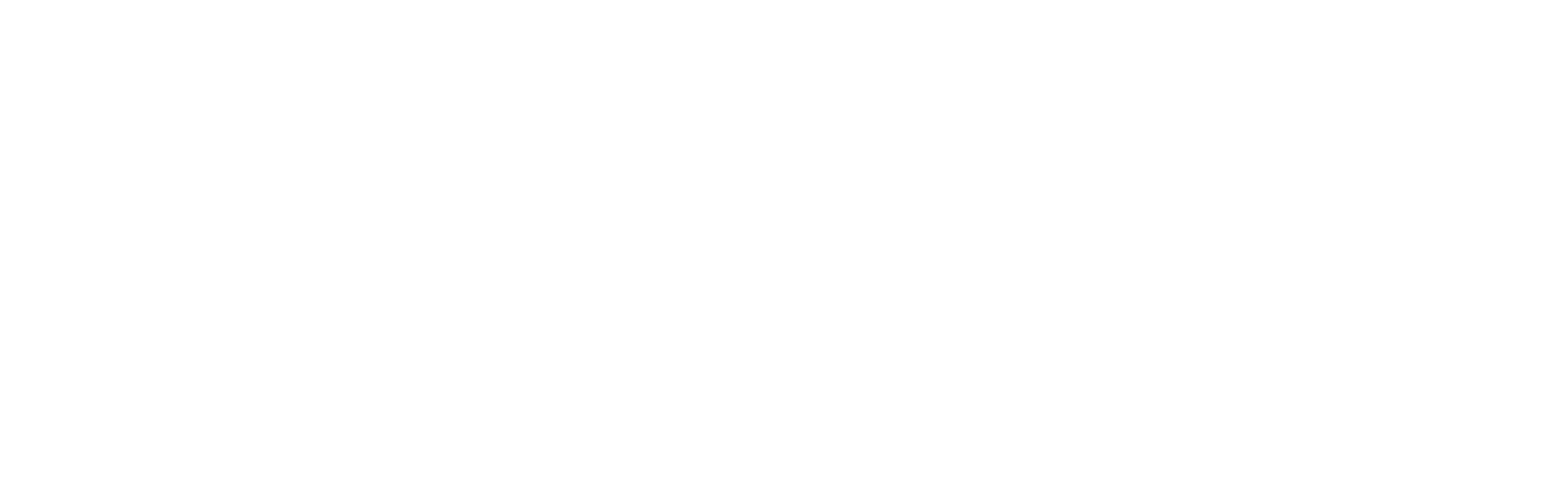 Blue Insurance Group